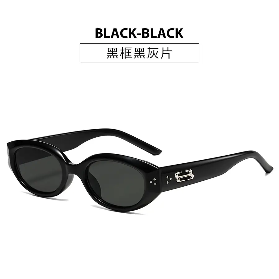 Men's Retro Black Frame Sunglasses 2025