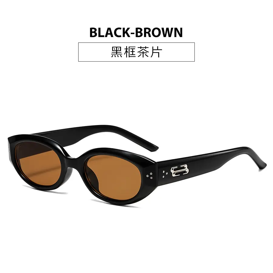 Men's Retro Black Frame Sunglasses 2025 - Image 2