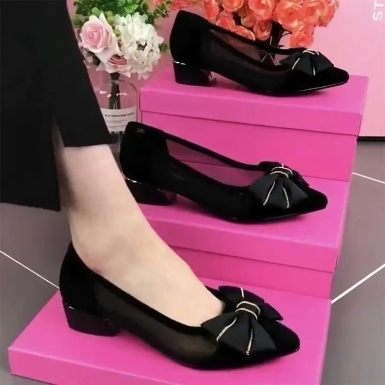 Mesh Single-layer Shoes Women's Low Heel All-match Hollow Mesh Women's Shoes 2025 Spring and Summer New Pointed Chunky Heel Simple Sandals — feature 1