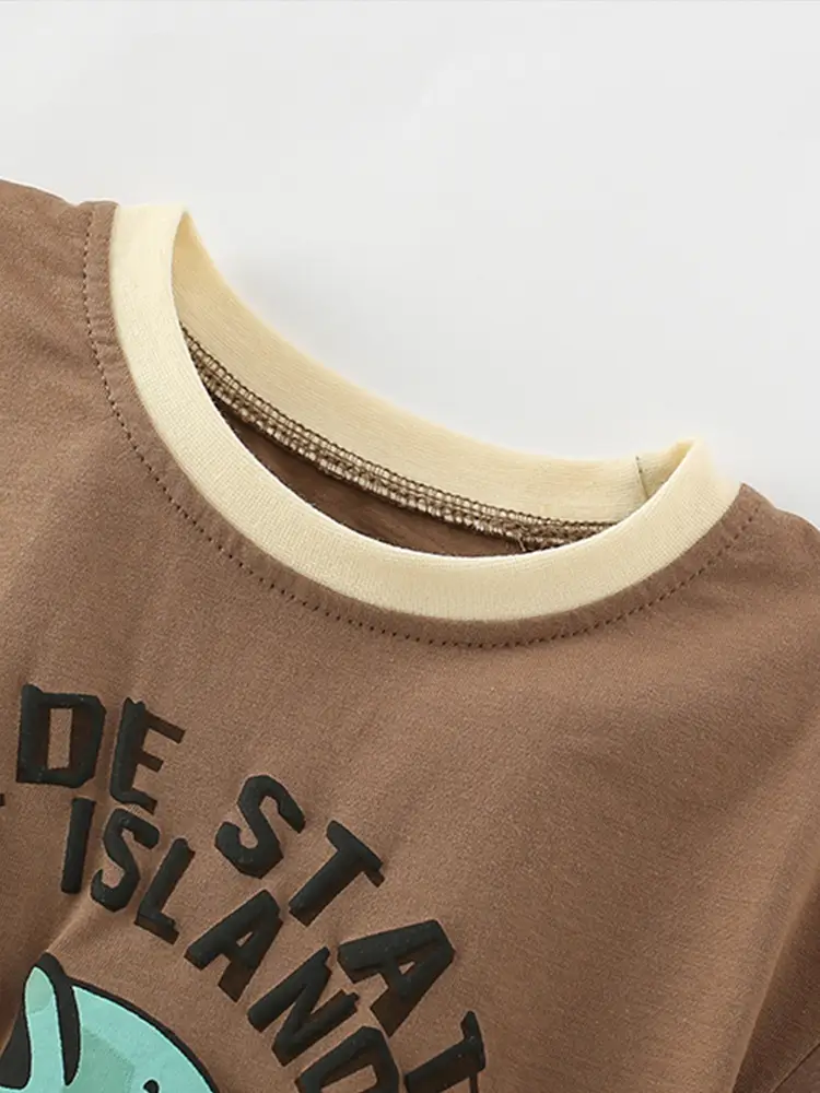 Malwee Boys T-Shirt Brown Graphic Round Neck Summer