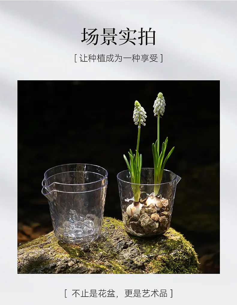 Glacier Pattern Transparent Lazy Self-Absorbing Flower Pot Water-Cultivating Plant Daffodils Water-Free Plastic Imitation Glass Flower Pot — feature 14