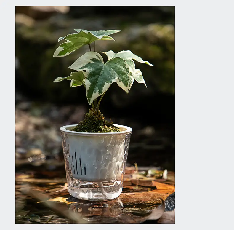 Glacier Pattern Transparent Lazy Self-Absorbing Flower Pot Water-Cultivating Plant Daffodils Water-Free Plastic Imitation Glass Flower Pot — feature 15