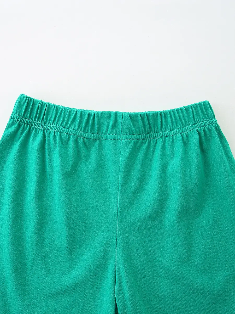 Summer Boys Cotton T-Shirt Shorts Set Light Blue Green - Image 5