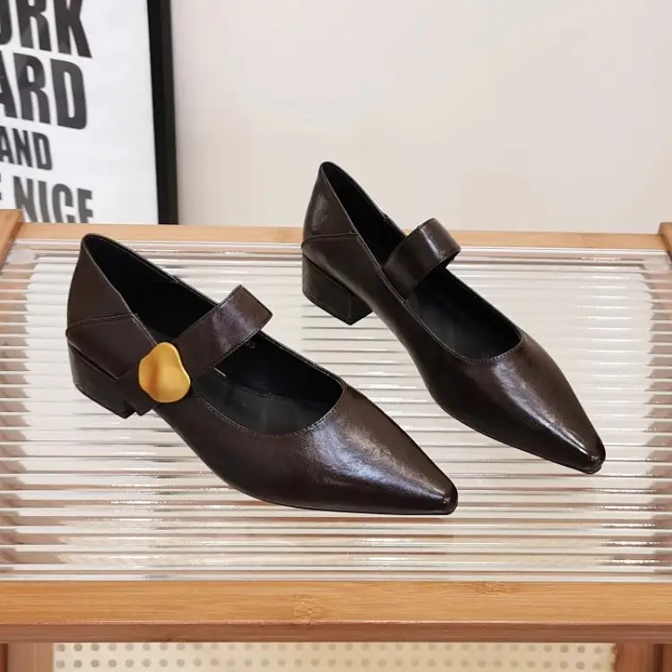 Pointed-Toe Stylish Versatile Mary Jane Leather Shoes with French-Style Chunky Heels and Velcro Fasteners, Shallow Mouth Single Shoes for Women, 2026 Spring and Autumn New Model