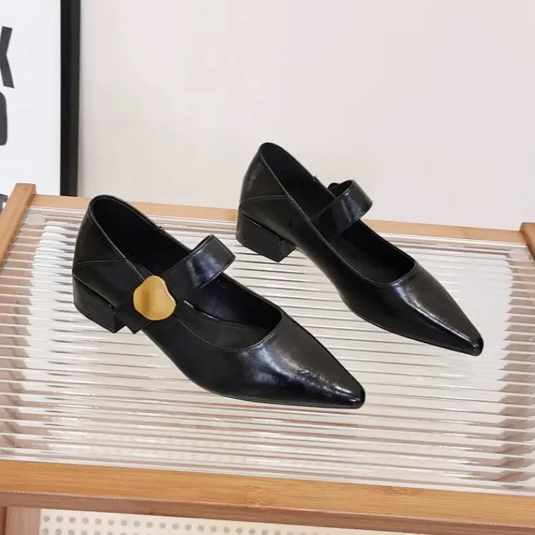 Pointed-Toe Stylish Versatile Mary Jane Leather Shoes with French-Style Chunky Heels and Velcro Fasteners, Shallow Mouth Single Shoes for Women, 2026 Spring and Autumn New Model