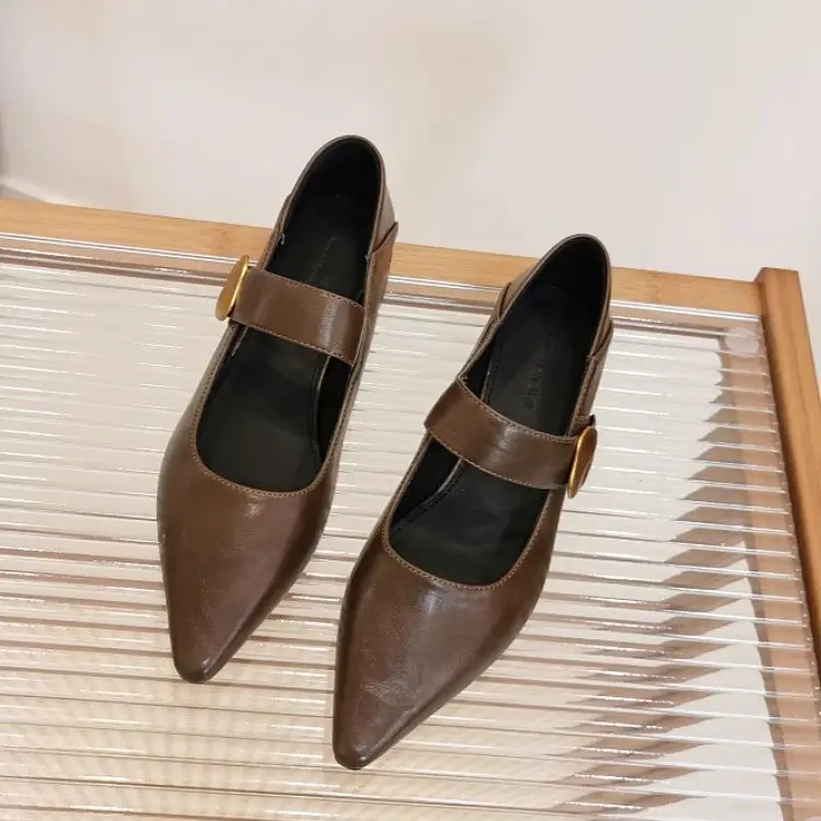 Pointed-Toe Stylish Versatile Mary Jane Leather Shoes with French-Style Chunky Heels and Velcro Fasteners, Shallow Mouth Single Shoes for Women, 2026 Spring and Autumn New Model