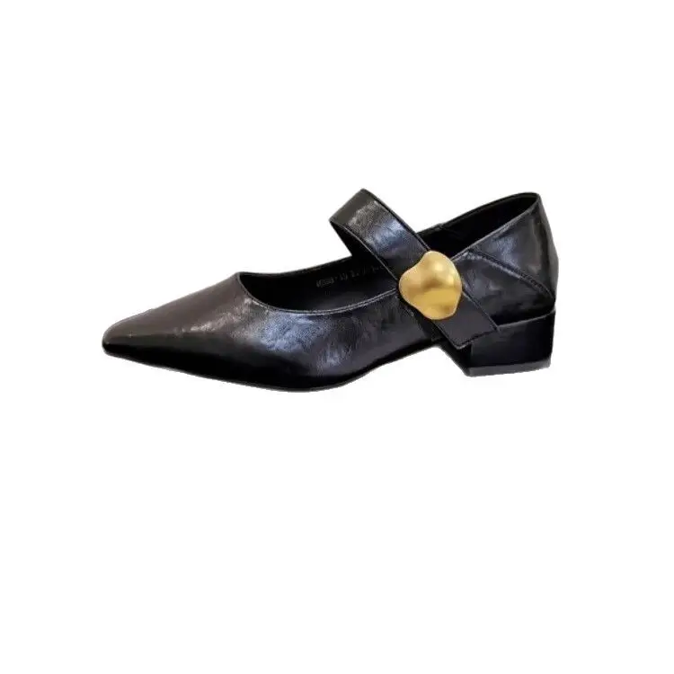Pointed-Toe Stylish Versatile Mary Jane Leather Shoes with French-Style Chunky Heels and Velcro Fasteners, Shallow Mouth Single Shoes for Women, 2026 Spring and Autumn New Model