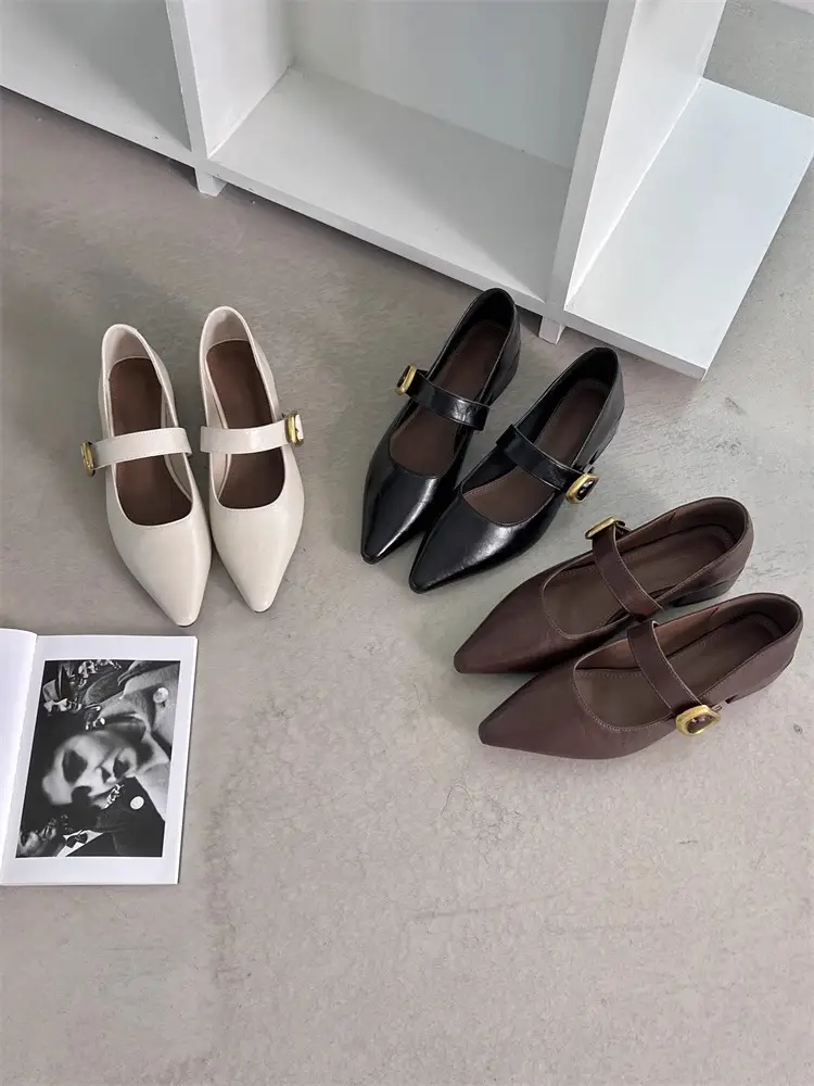 Pointed-Toe Stylish Versatile Mary Jane Leather Shoes with French-Style Chunky Heels and Velcro Fasteners, Shallow Mouth Single Shoes for Women, 2026 Spring and Autumn New Model — feature 10