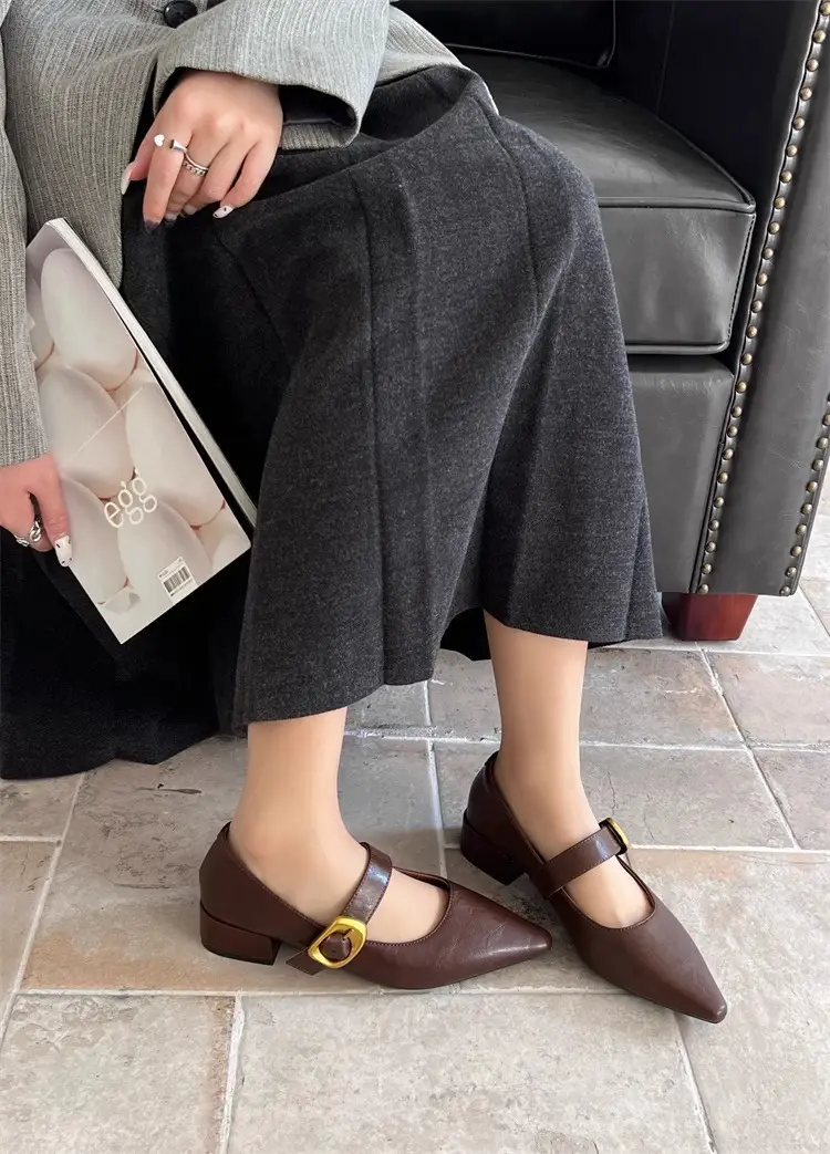 Pointed-Toe Stylish Versatile Mary Jane Leather Shoes with French-Style Chunky Heels and Velcro Fasteners, Shallow Mouth Single Shoes for Women, 2026 Spring and Autumn New Model — feature 11