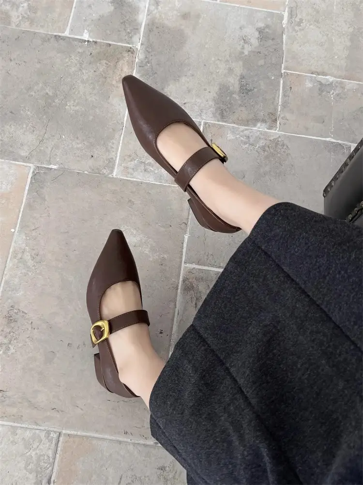 Pointed-Toe Stylish Versatile Mary Jane Leather Shoes with French-Style Chunky Heels and Velcro Fasteners, Shallow Mouth Single Shoes for Women, 2026 Spring and Autumn New Model — feature 12