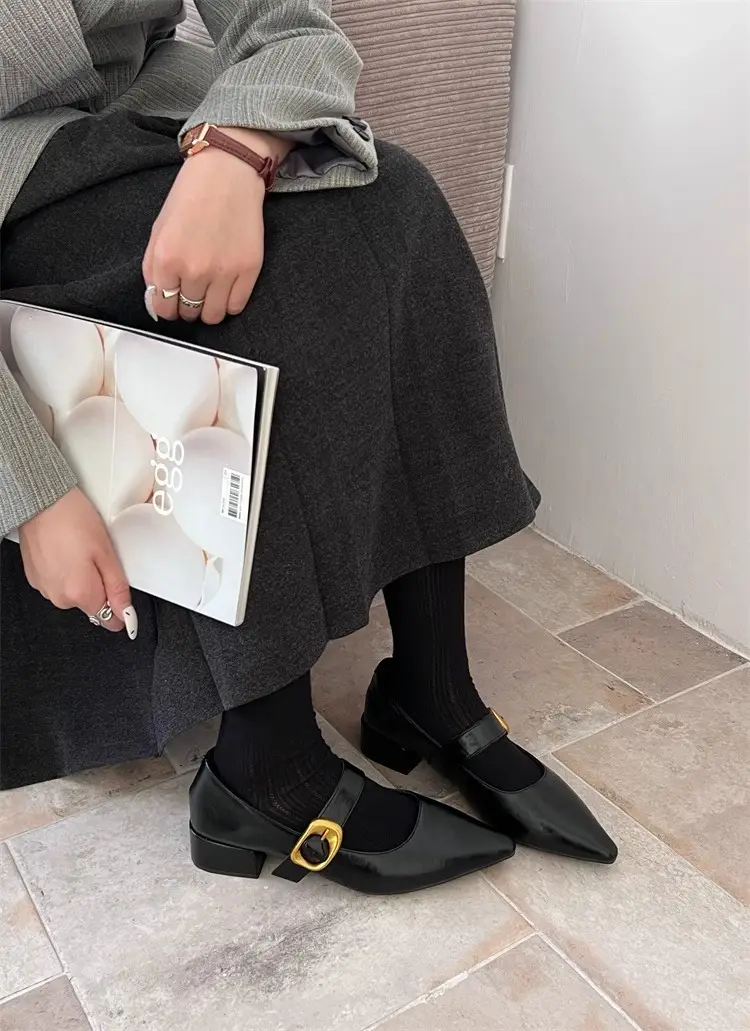Pointed-Toe Stylish Versatile Mary Jane Leather Shoes with French-Style Chunky Heels and Velcro Fasteners, Shallow Mouth Single Shoes for Women, 2026 Spring and Autumn New Model — feature 14