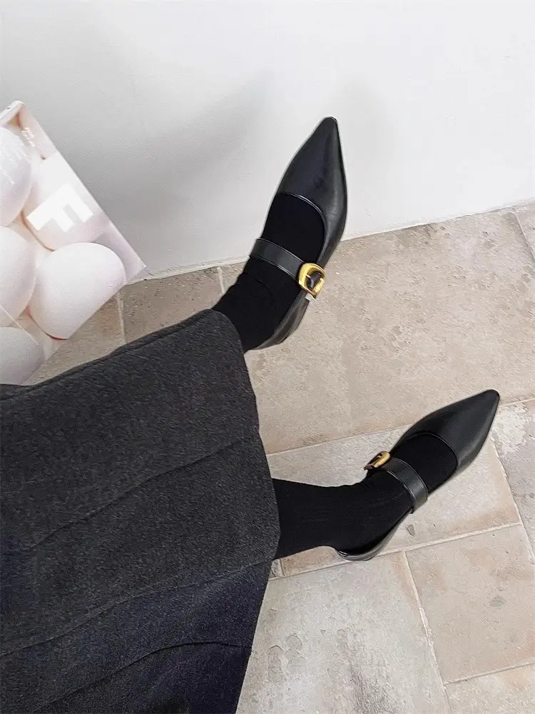 Pointed-Toe Stylish Versatile Mary Jane Leather Shoes with French-Style Chunky Heels and Velcro Fasteners, Shallow Mouth Single Shoes for Women, 2026 Spring and Autumn New Model — feature 16