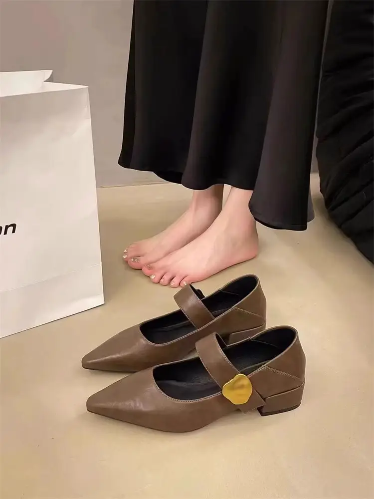 Pointed-Toe Stylish Versatile Mary Jane Leather Shoes with French-Style Chunky Heels and Velcro Fasteners, Shallow Mouth Single Shoes for Women, 2026 Spring and Autumn New Model — feature 2