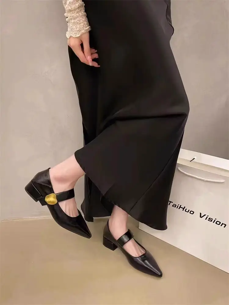 Pointed-Toe Stylish Versatile Mary Jane Leather Shoes with French-Style Chunky Heels and Velcro Fasteners, Shallow Mouth Single Shoes for Women, 2026 Spring and Autumn New Model — feature 3