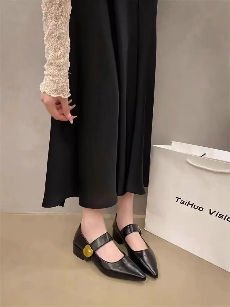 Pointed-Toe Stylish Versatile Mary Jane Leather Shoes with French-Style Chunky Heels and Velcro Fasteners, Shallow Mouth Single Shoes for Women, 2026 Spring and Autumn New Model — feature 4
