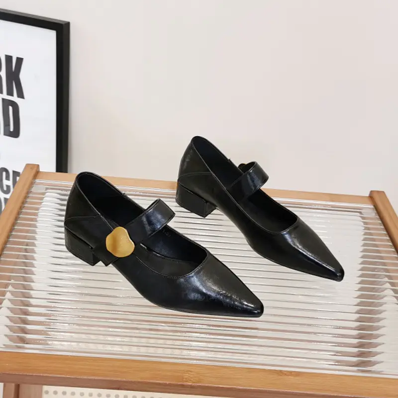 Pointed-Toe Stylish Versatile Mary Jane Leather Shoes with French-Style Chunky Heels and Velcro Fasteners, Shallow Mouth Single Shoes for Women, 2026 Spring and Autumn New Model