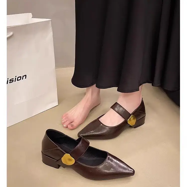 2026 Autumn New Pointed Toe Stylish Versatile Mary Jane Leather Shoes with Chunky Heel and Velcro Strap Fashionable Women's Flats - Image 4