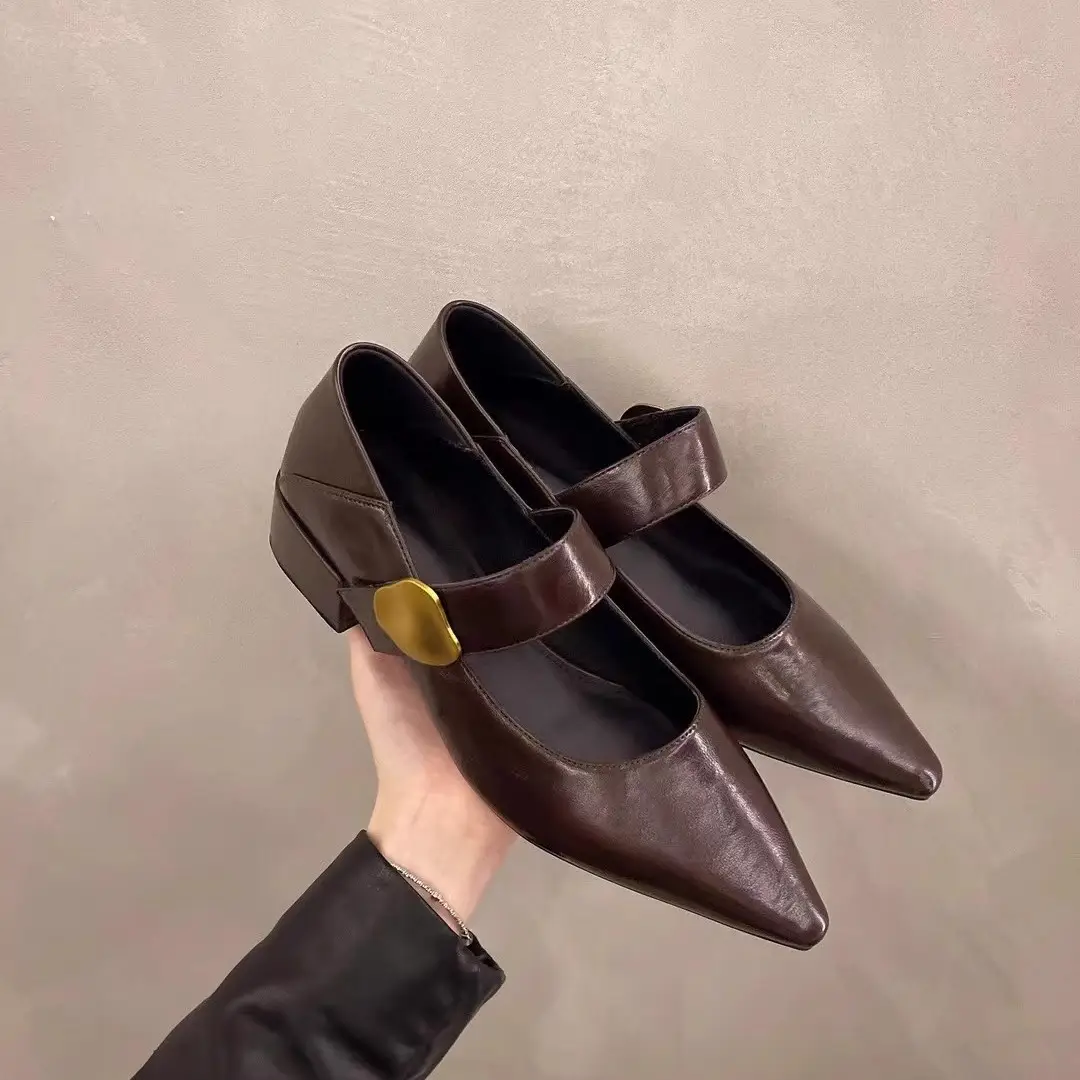 2026 Autumn New Pointed Toe Stylish Versatile Mary Jane Leather Shoes with Chunky Heel and Velcro Strap Fashionable Women's Flats - Image 5