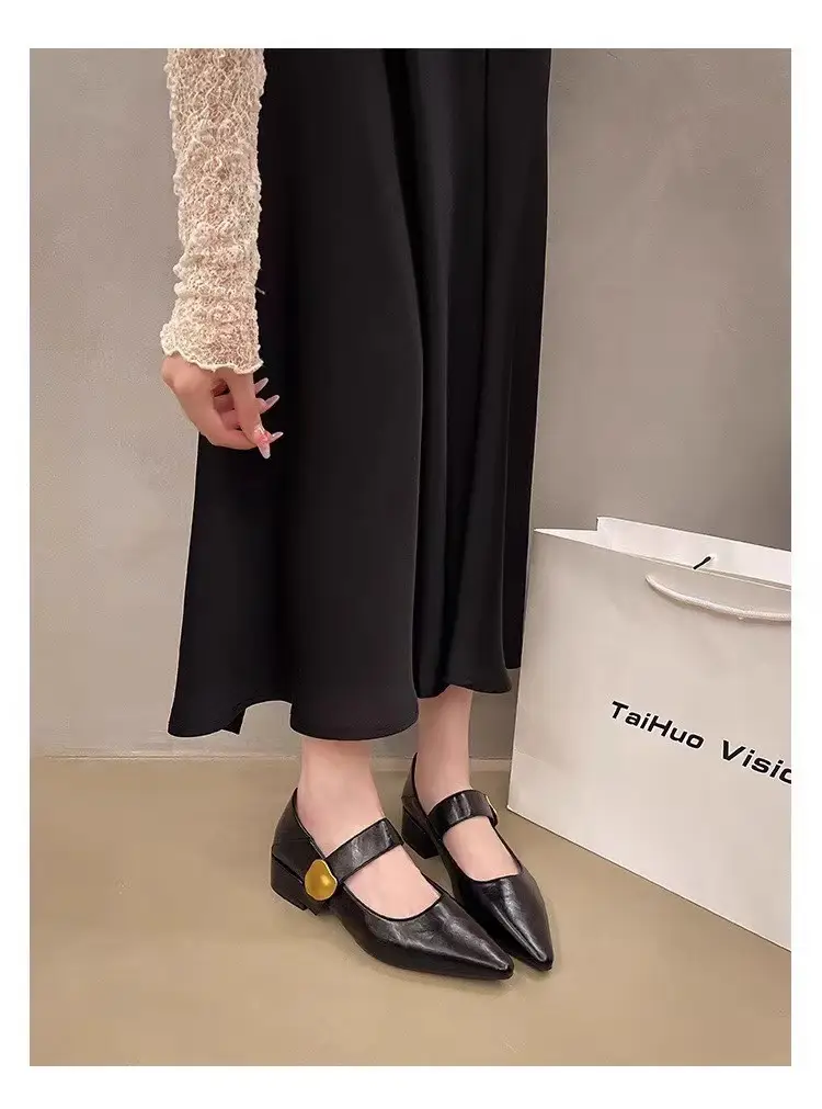 2026 Autumn New Pointed Toe Stylish Versatile Mary Jane Leather Shoes with Chunky Heel and Velcro Strap Fashionable Women's Flats — feature 4
