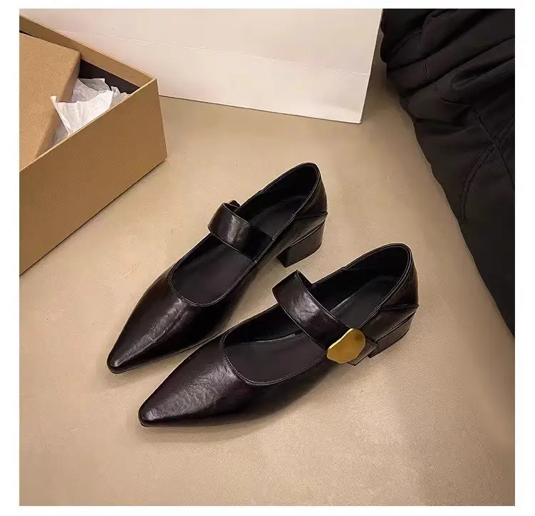 2026 Autumn New Pointed Toe Stylish Versatile Mary Jane Leather Shoes with Chunky Heel and Velcro Strap Fashionable Women's Flats — feature 5