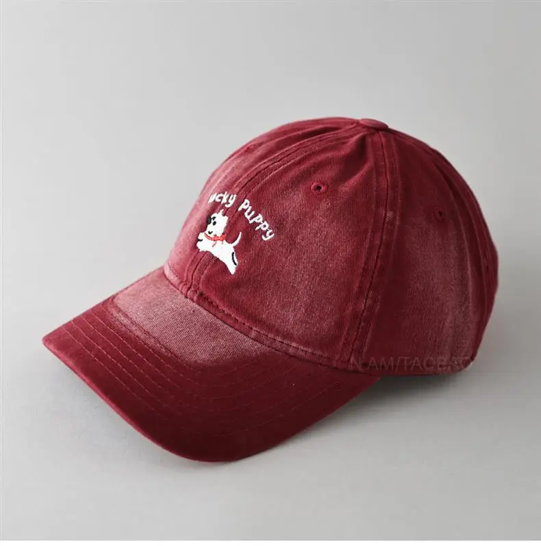 Gray Dizzy Letter Puppy Cap for Men Women — feature 14