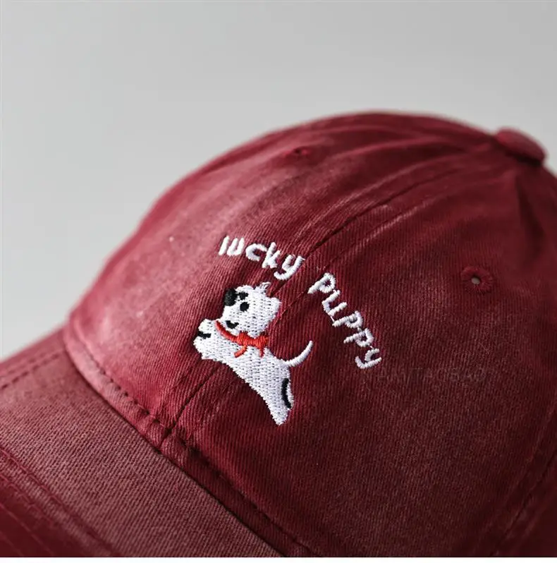 Gray Dizzy Letter Puppy Cap for Men Women — feature 15