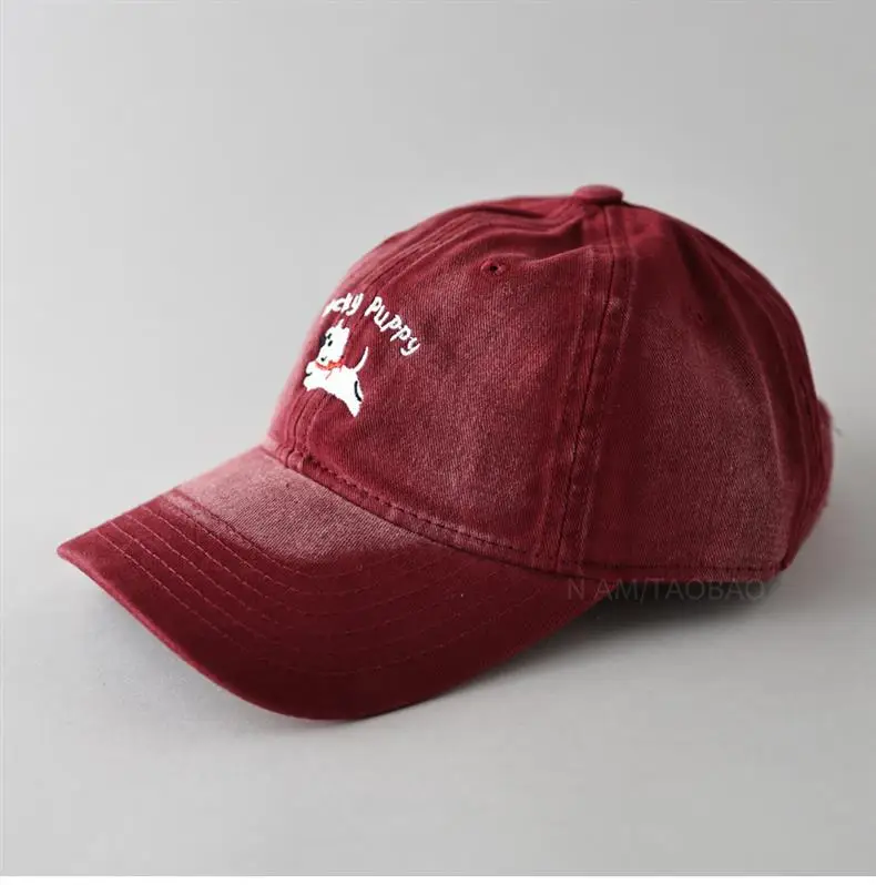 Gray Dizzy Letter Puppy Cap for Men Women — feature 17