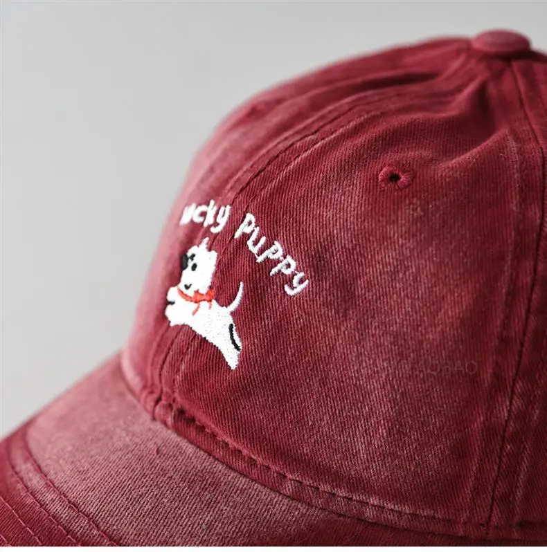Gray Dizzy Letter Puppy Cap for Men Women — feature 18