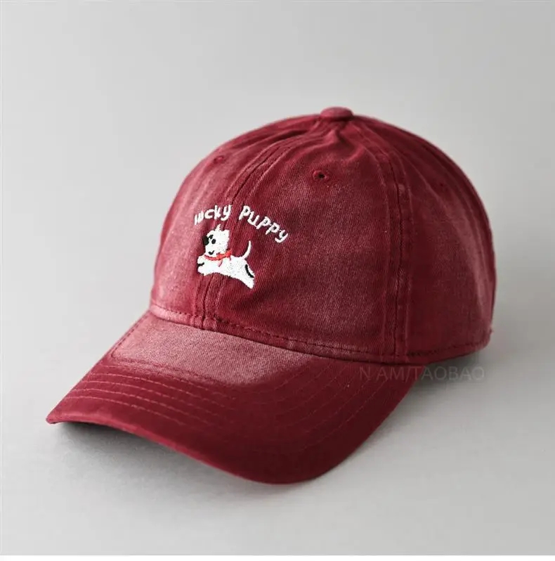 Gray Dizzy Letter Puppy Cap for Men Women — feature 7