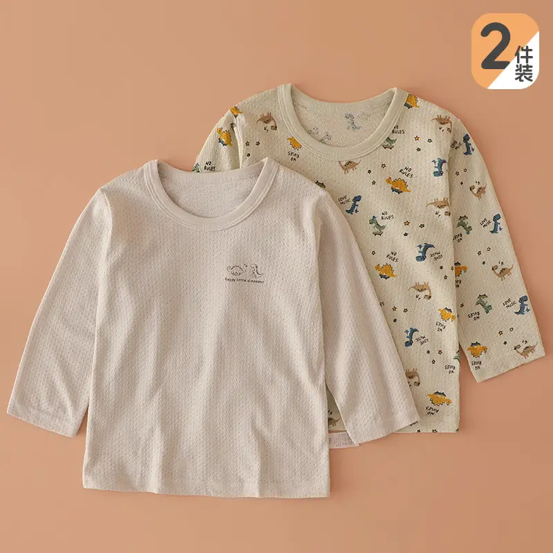100% Cotton Boys Long Sleeve T-Shirts Set of 2