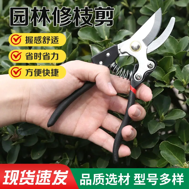 Manufacturer Wholesale Pruning Shears for Flowers and Fruit Trees, Special Gardening Scissors for Grafting, Labor-Saving Thick Branch Scissors, Garden Tools