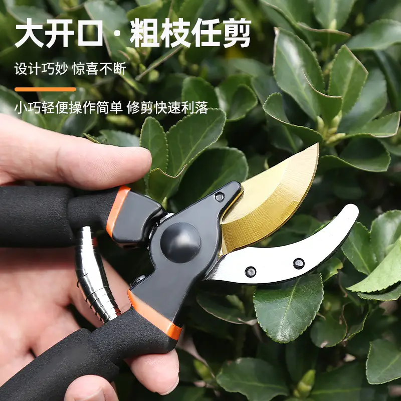 Manufacturer Wholesale Pruning Shears for Flowers and Fruit Trees, Special Gardening Scissors for Grafting, Labor-Saving Thick Branch Scissors, Garden Tools