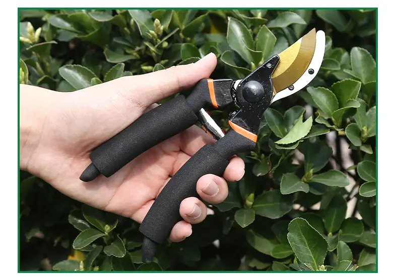 Manufacturer Wholesale Pruning Shears for Flowers and Fruit Trees, Special Gardening Scissors for Grafting, Labor-Saving Thick Branch Scissors, Garden Tools — feature 12