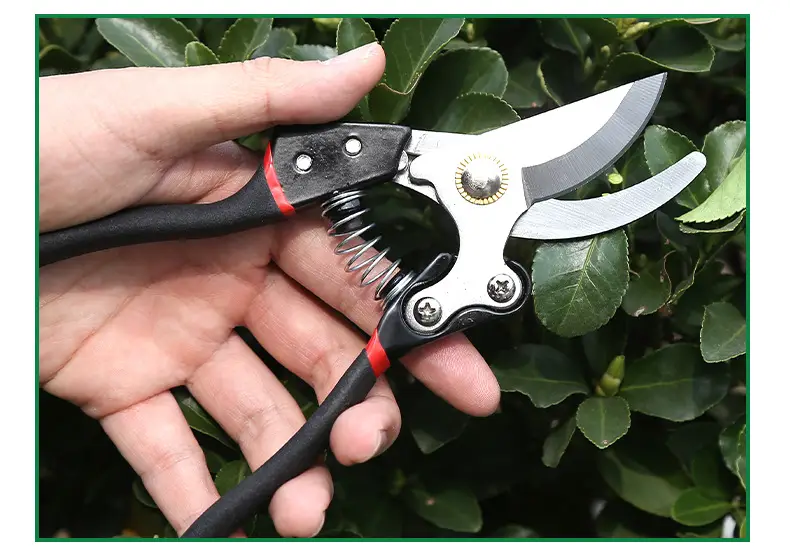 Manufacturer Wholesale Pruning Shears for Flowers and Fruit Trees, Special Gardening Scissors for Grafting, Labor-Saving Thick Branch Scissors, Garden Tools — feature 13