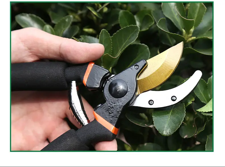 Manufacturer Wholesale Pruning Shears for Flowers and Fruit Trees, Special Gardening Scissors for Grafting, Labor-Saving Thick Branch Scissors, Garden Tools — feature 14