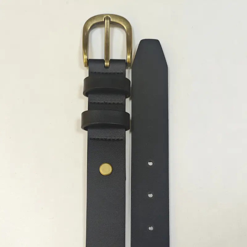 Black Pin Buckle Belt for Women, High-End Simple Versatile Belt - Image 3