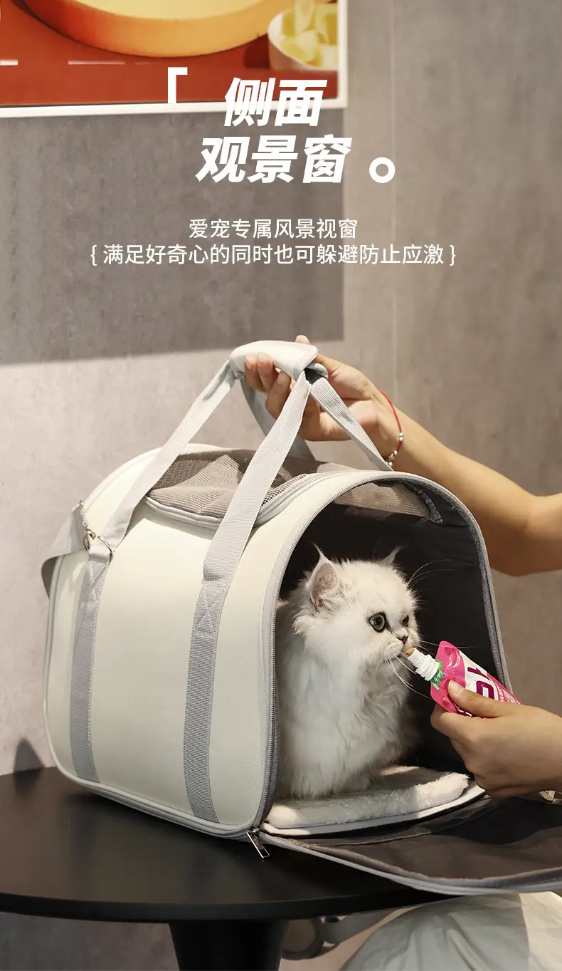 Portable Cat & Dog Outing Bag with Breathable Design — feature 4