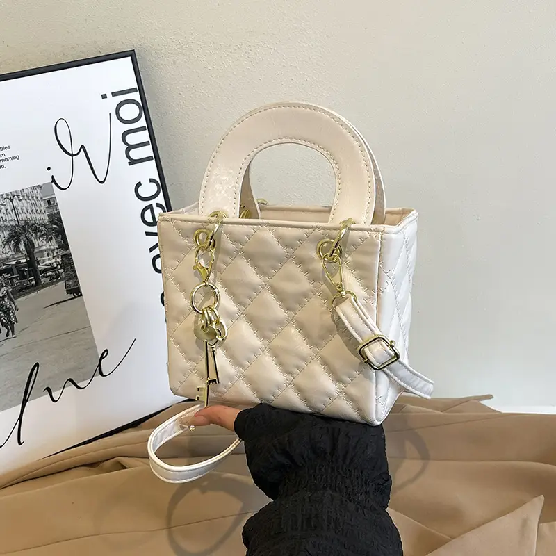 Stylish Mini Bags for Women 2025 New Arrival - Image 9