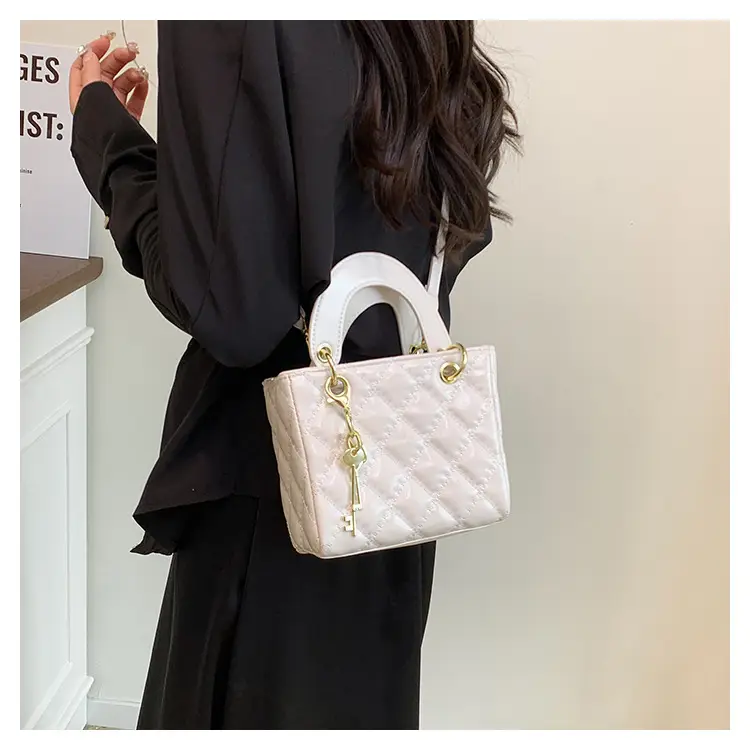 Stylish Mini Bags for Women 2025 New Arrival — feature 13