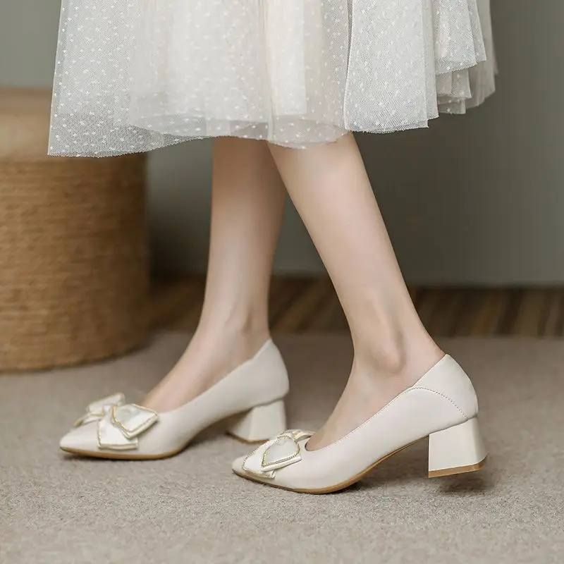 French-Style Chunky High Heels That Are Comfortable for Women, 2026 Spring and Autumn New Style Single Shoes for Women with Bowknot, Pointed Toe, Elegant Low Heels for Mothers