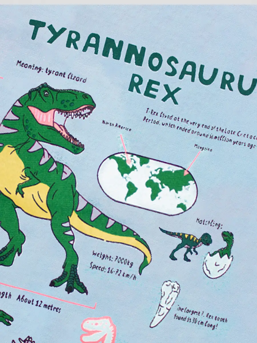 2025 Summer Blue Cartoon Dinosaur T-Shirt for Boys - Image 6