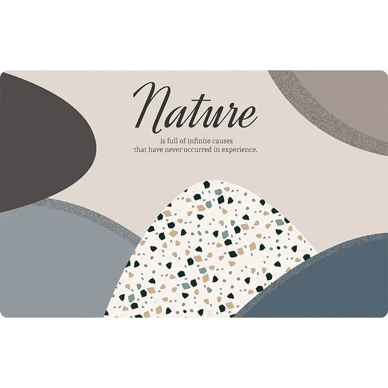 Diatom Floor Mat Non-Slip Bathroom Use - Image 22
