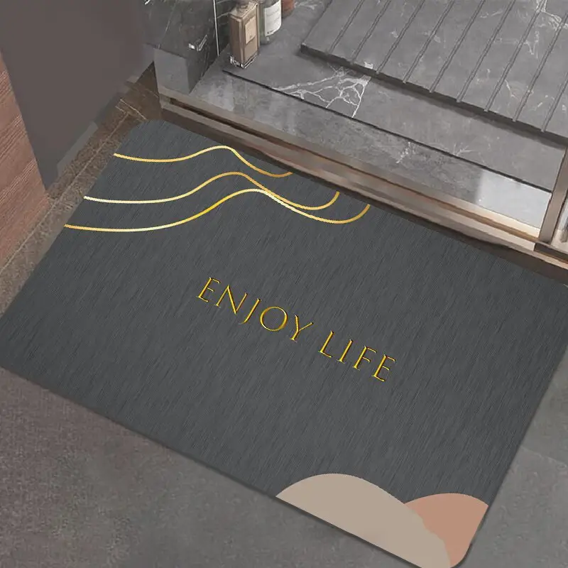 Diatom Floor Mat Non-Slip Bathroom Use - Image 14