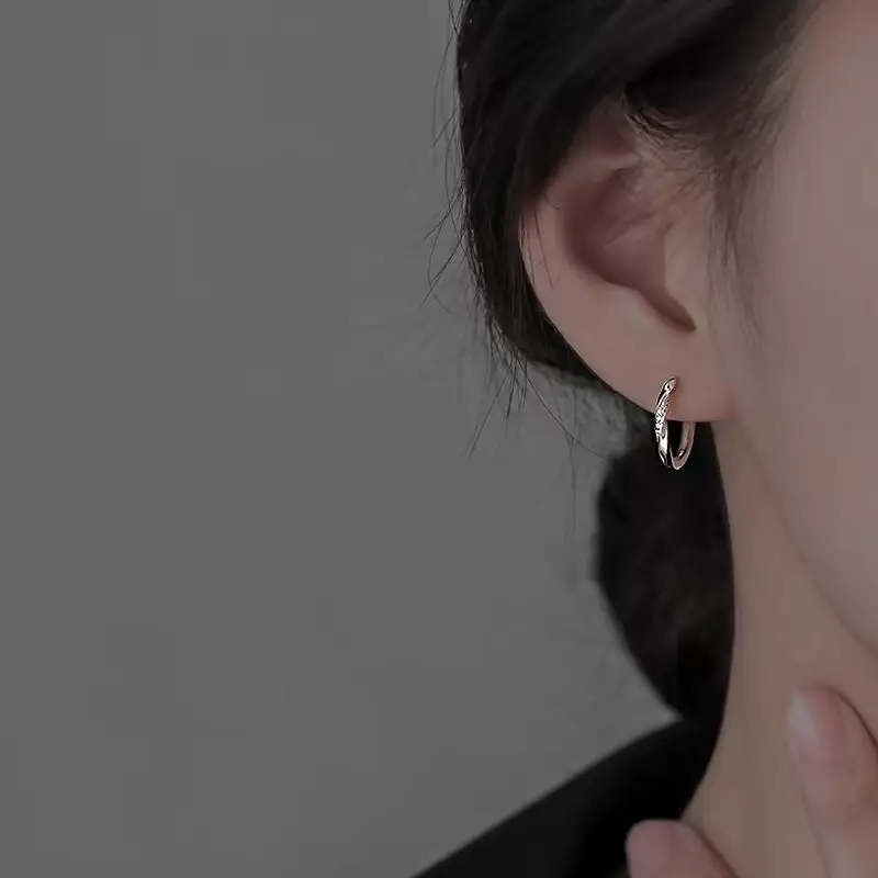 925 Silver Needle Ear Buckle Women's Earrings 2025 New - Image 114