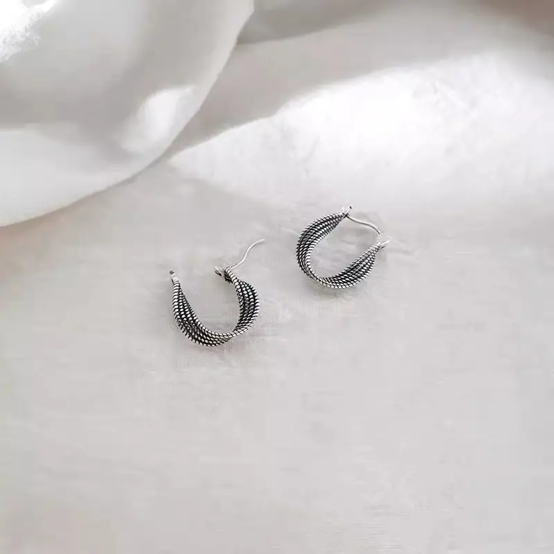 925 Silver Needle Ear Buckle Women's Earrings 2025 New - Image 11