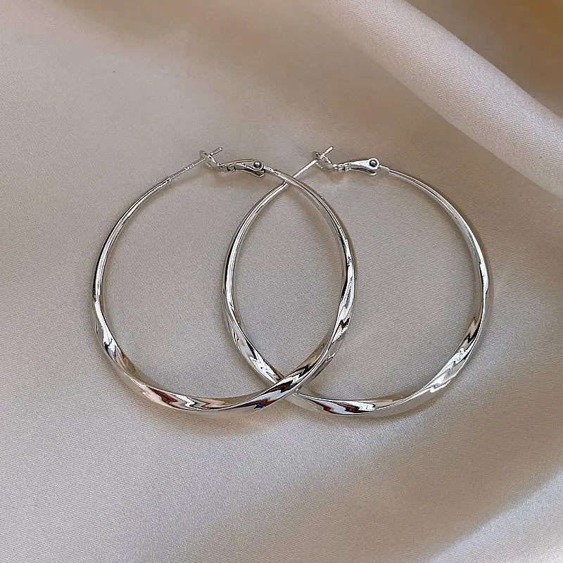 925 Silver Needle Ear Buckle Women's Earrings 2025 New - Image 56