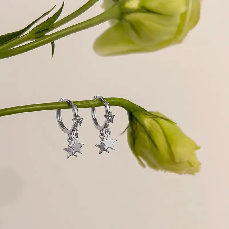 925 Silver Needle Ear Buckle Women's Earrings 2025 New - Image 6