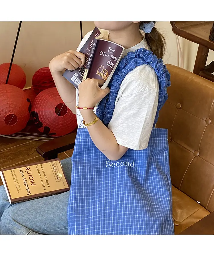 Blue Plaid Canvas Shoulder Bag for Women — feature 19