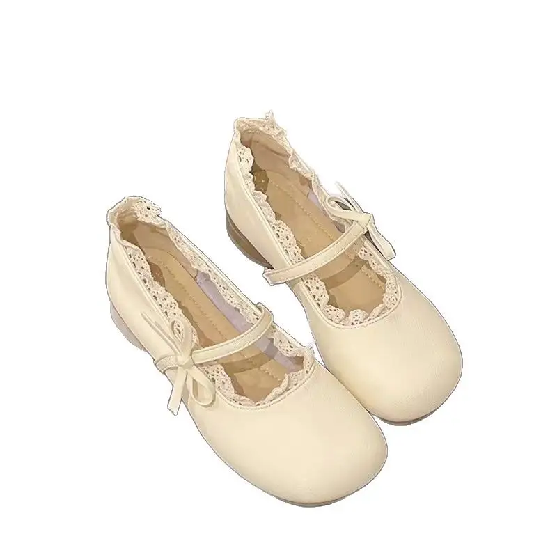 French Style Mary Jane Shoes 2025 Spring and Autumn New Retro Gentle Elegant Dress Chunky Heeled Shallow Mouth Single-layer Shoes Women's Shoes