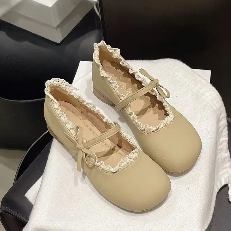 French Style Mary Jane Shoes 2025 Spring and Autumn New Retro Gentle Elegant Dress Chunky Heeled Shallow Mouth Single-layer Shoes Women's Shoes